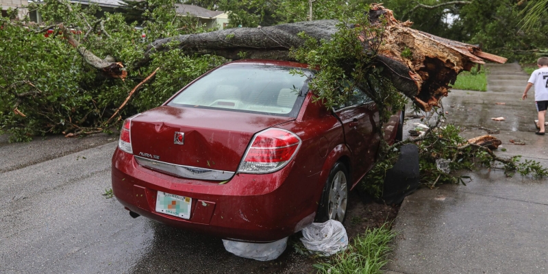 Что делать во время урагана, смерча или бури, чтобы не пострадать